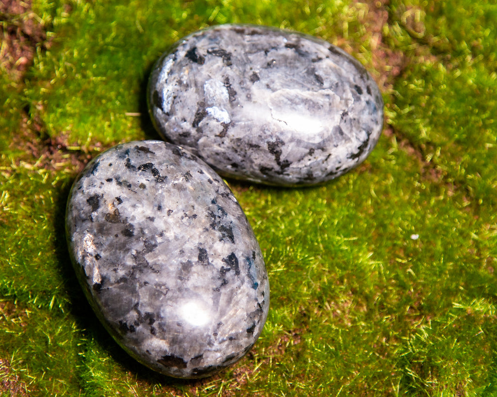Larvikite Palm Stones - The Crystal Cavern