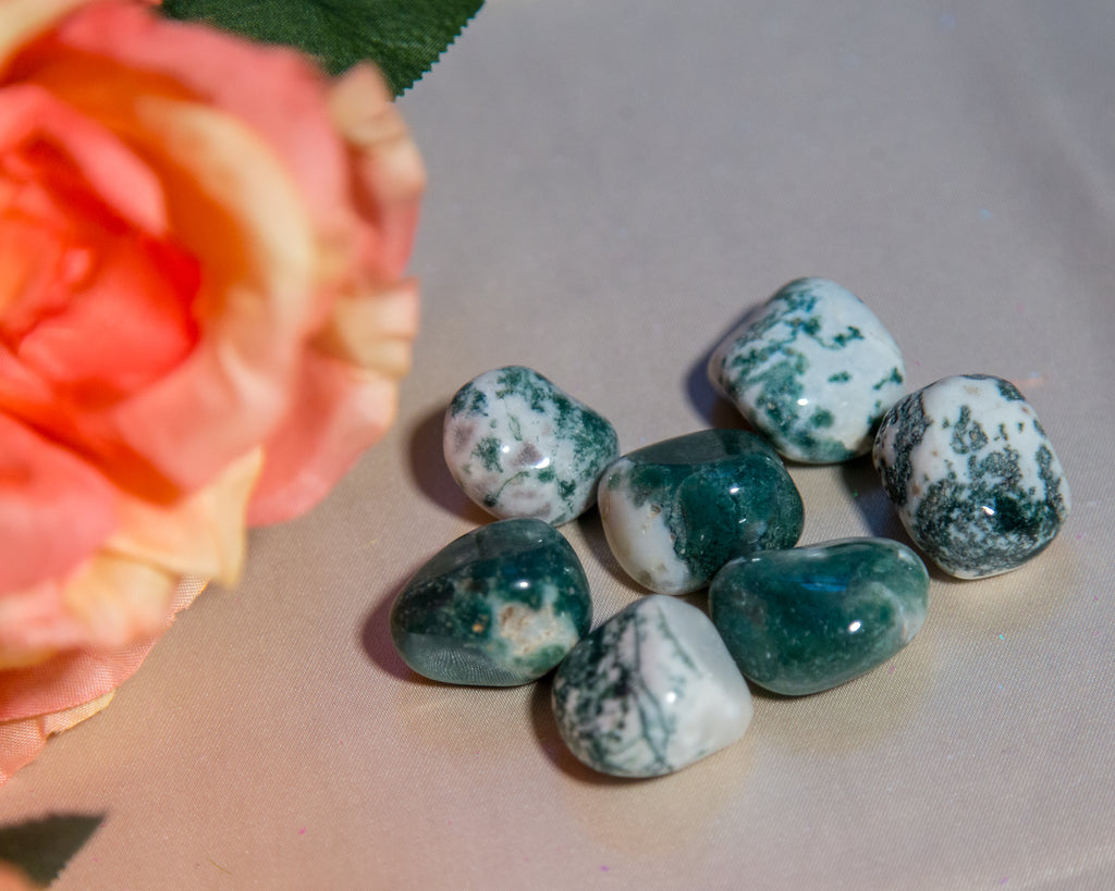 Moss Agate Tumbles for Gaia Consciousness - The Crystal Cavern
